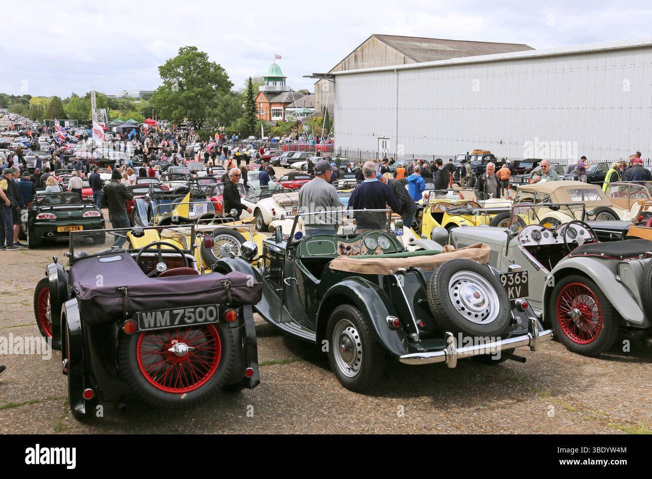 Verschiedene klassische MGS, Best of British Day, Finishing Straight, Brooklands Museum, Weybridge, Surrey, England, Großbritannien, Europa Stockfoto