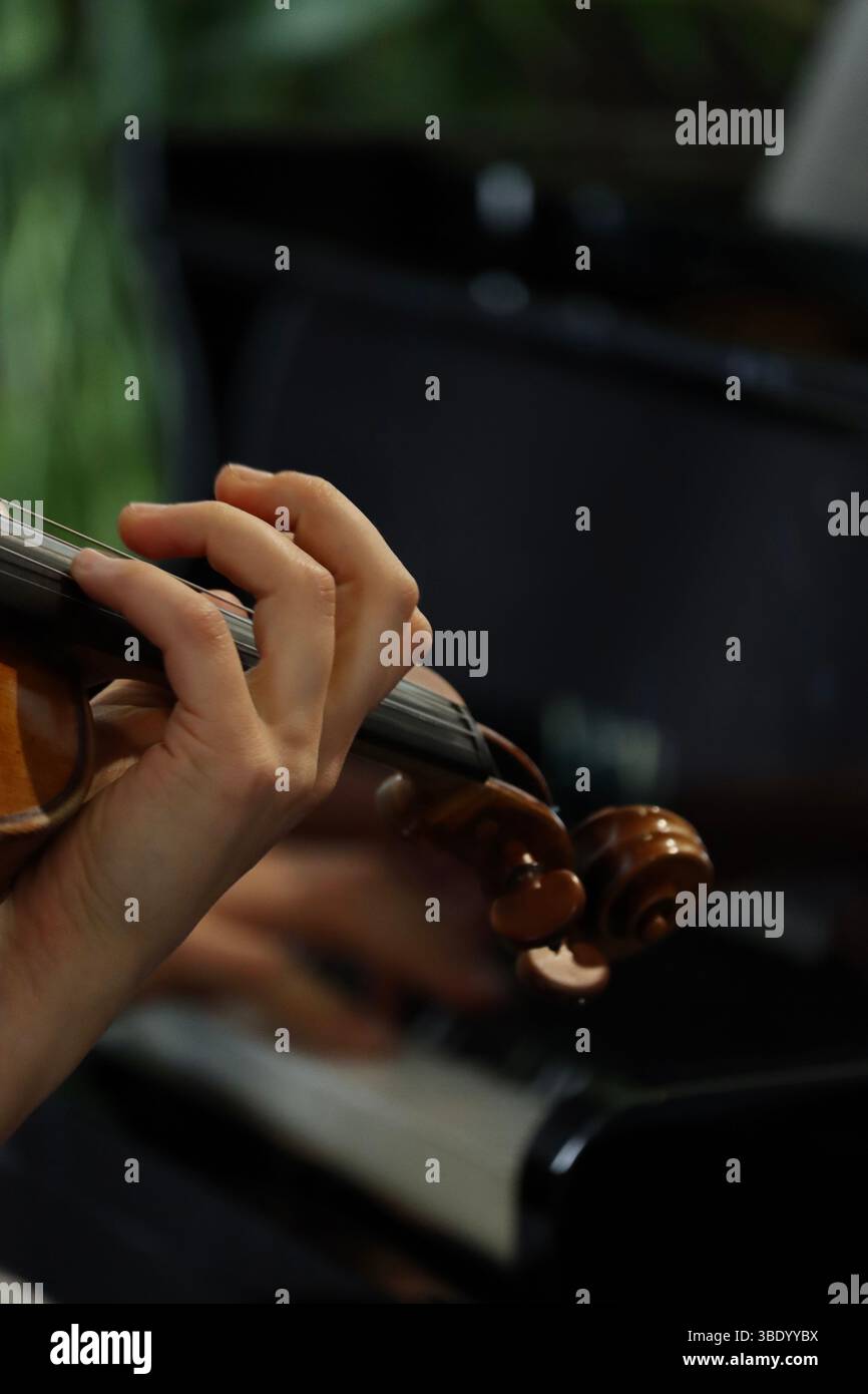 Jemand spielt Violine in einem französischen Klassikkonzert Stockfoto