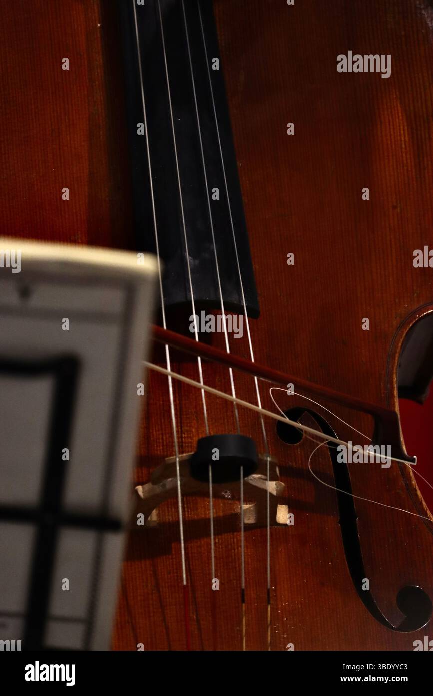 Jemand spielt Cello in einem französischen Klassikkonzert Stockfoto