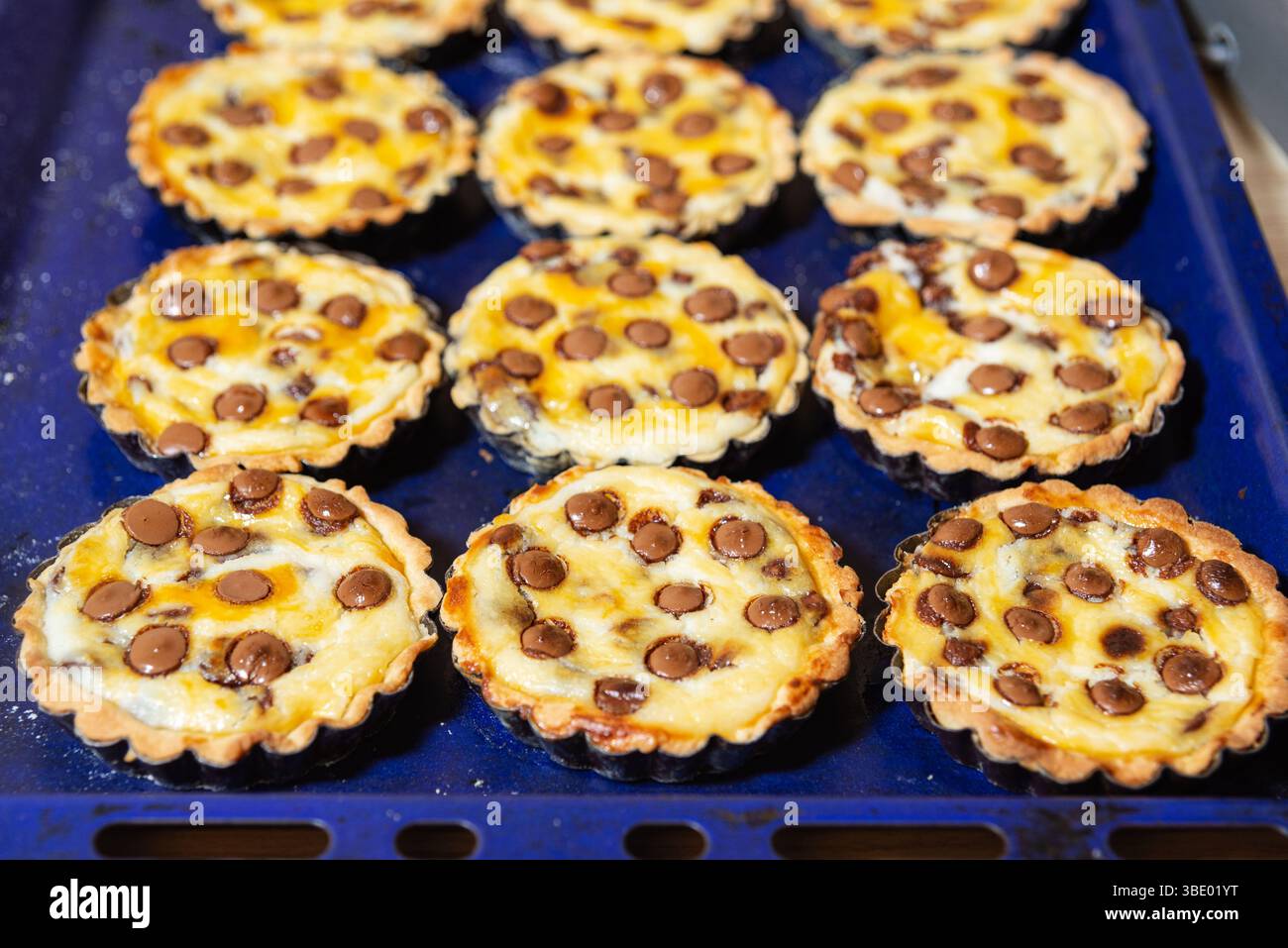 Nahaufnahme mehrerer Mini-Torten gefüllt mit cremigem Pudding und Schokoladenchips, frisch gebacken und auf einem Tablett angeordnet. Stockfoto