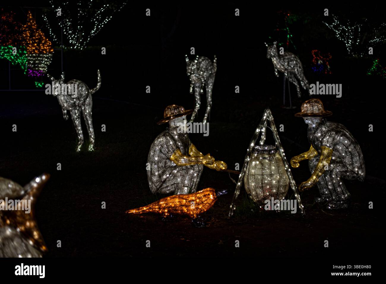 Feenlichter im Garten Stockfoto