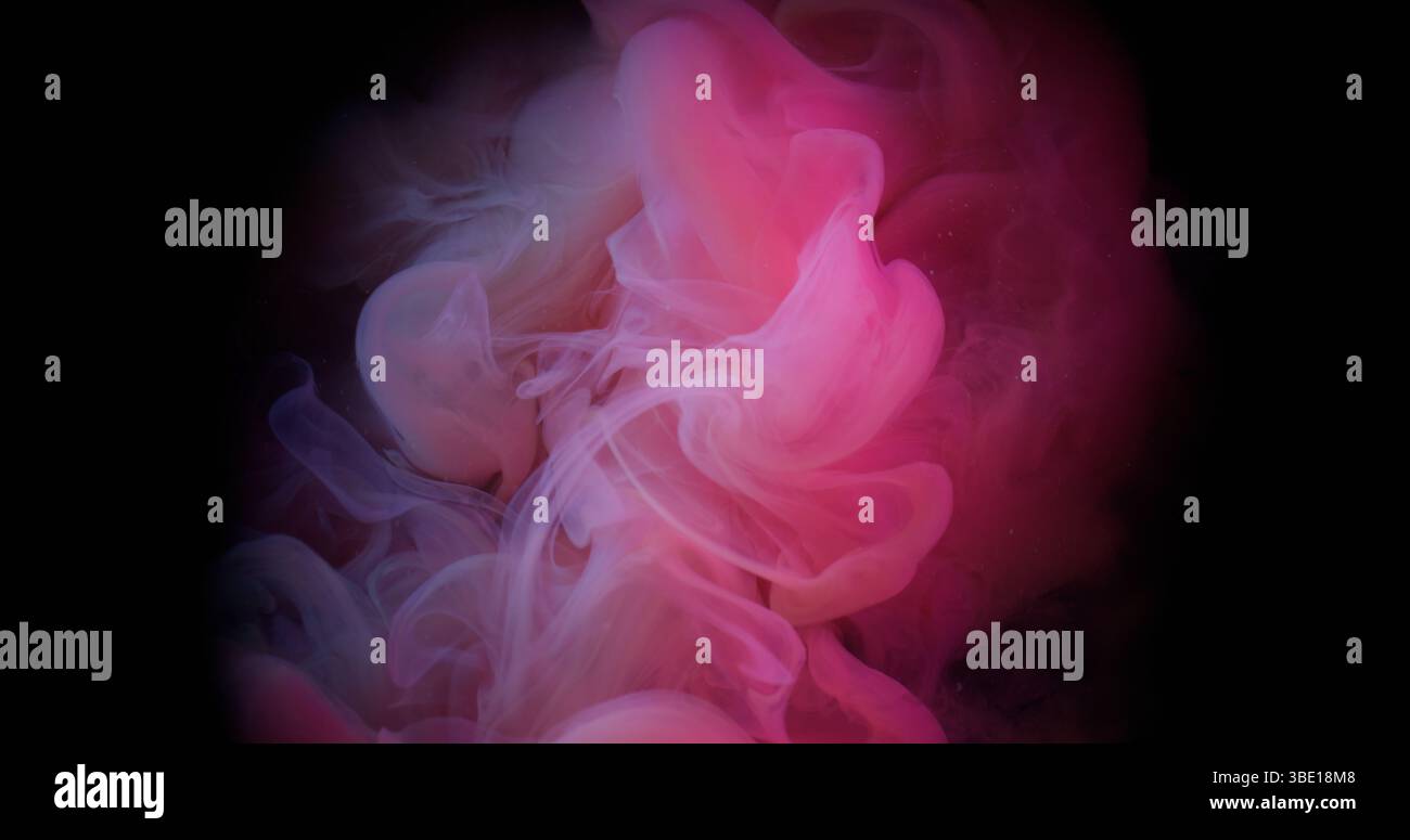 Rosafarbener Rauch. Wolkenspritzer. Leuchtende Farbdämpfe blasen auf schwarzer Textur. Kunstfarben-Unschärfe-Explosion im dunklen flüssigen abstrakten Hintergrund. Stockfoto