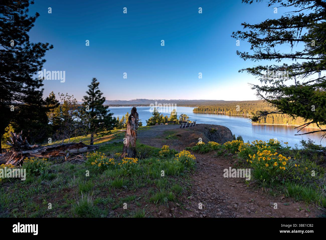 Am frühen Morgen Licht am Payette Lake Idaho Stockfoto