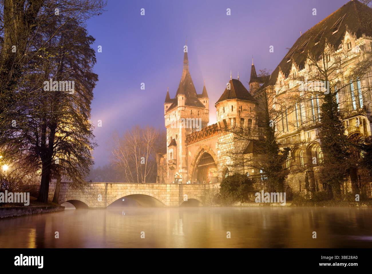 Vajdahunyad Burg Stockfoto