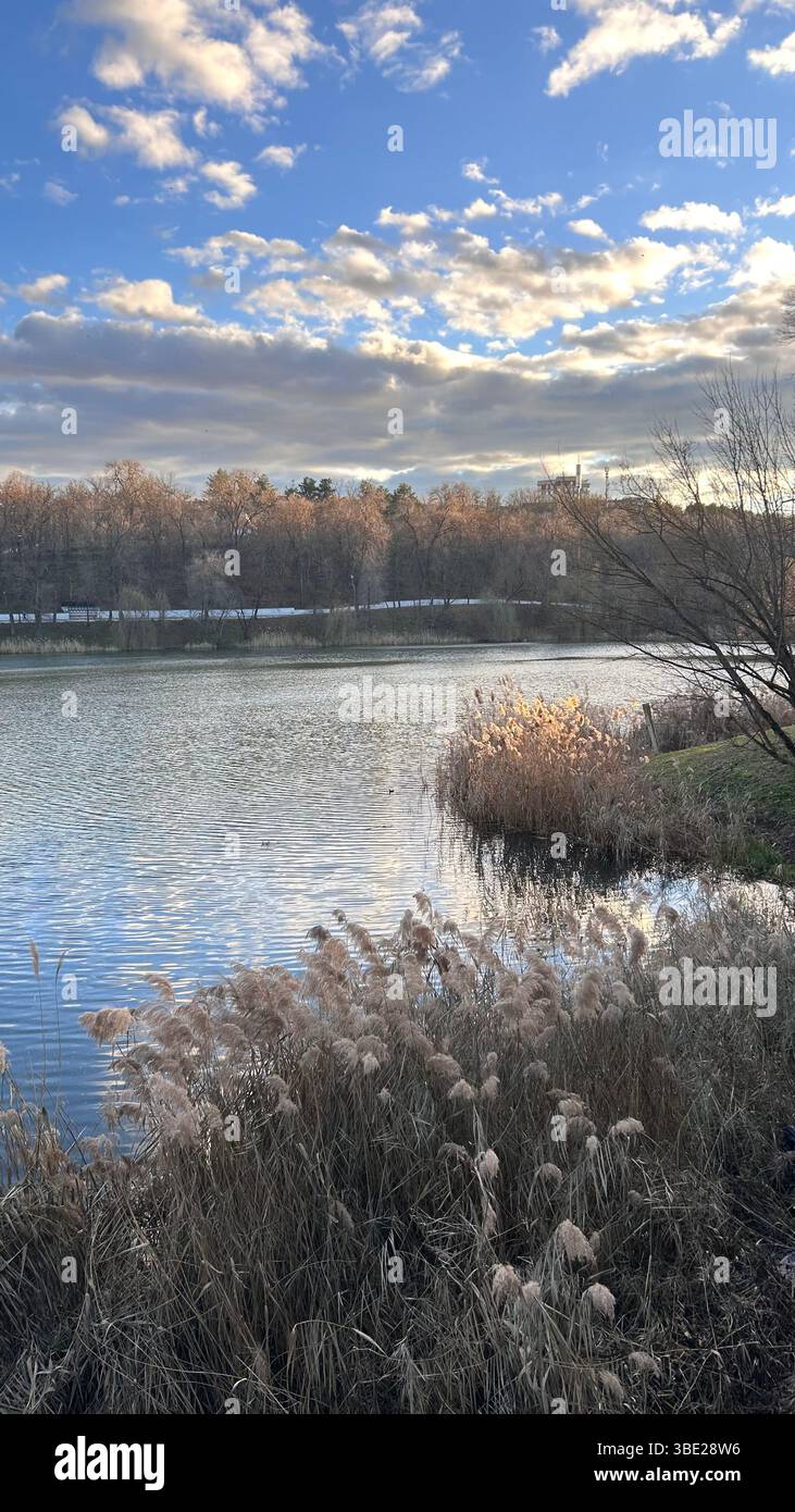Foto eines Sees in einem Park in Chisinau, Moldau. Das Foto wurde im Februar 2025 an einem frostigen Morgen aufgenommen - Smartphone-aufgenommenes Stockfoto