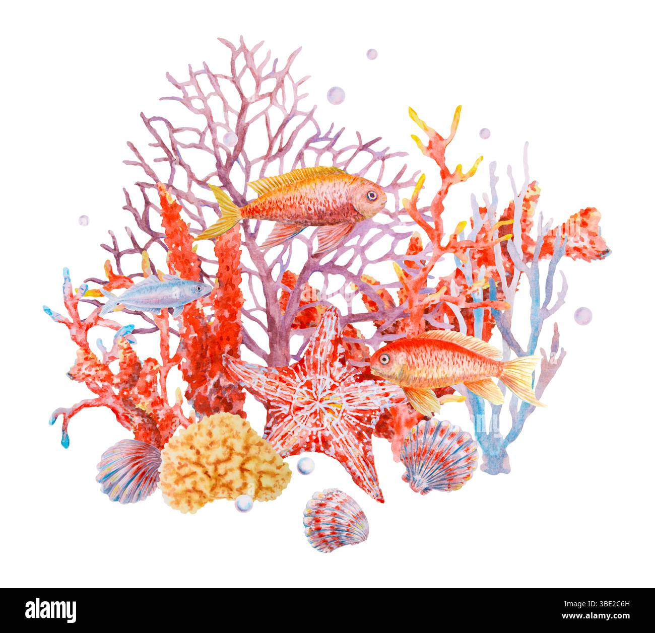 Aquarellkomposition mit farbenfrohen tropischen Fischen, Meereskorallen, Seesternen, Muscheln und Blasen. Unterwasser-Unterwasserwelt für Sommermotive, Ozean Stockfoto