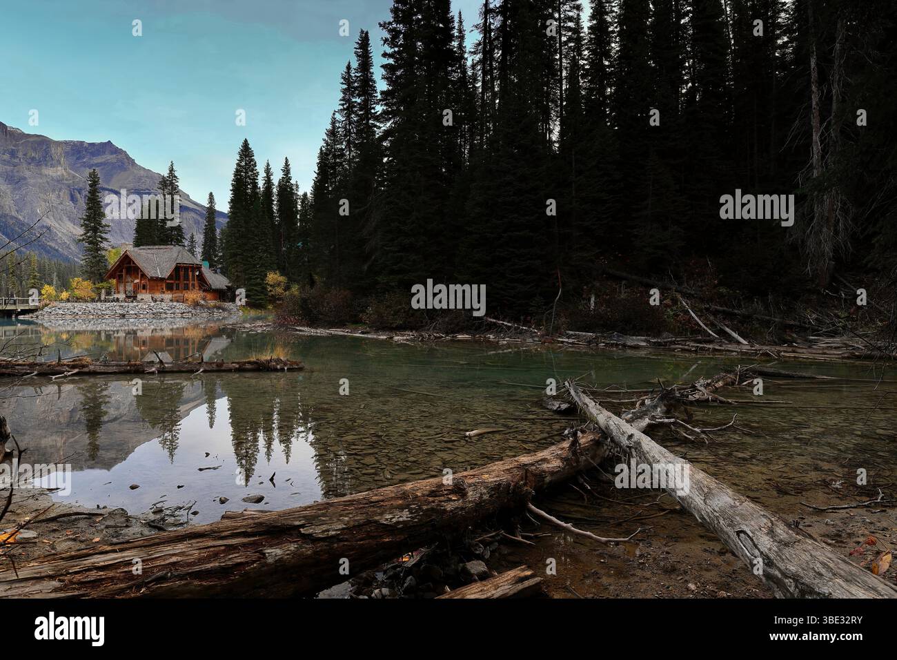 286 gefallene Stämme im Teich, gesäumt von der Emerald Lodge Halbinsel am Emerald Lake, klarer Sonnenaufgang mit Michael Peak im linken Hintergrund. Yoho NP-BC-Kanada Stockfoto
