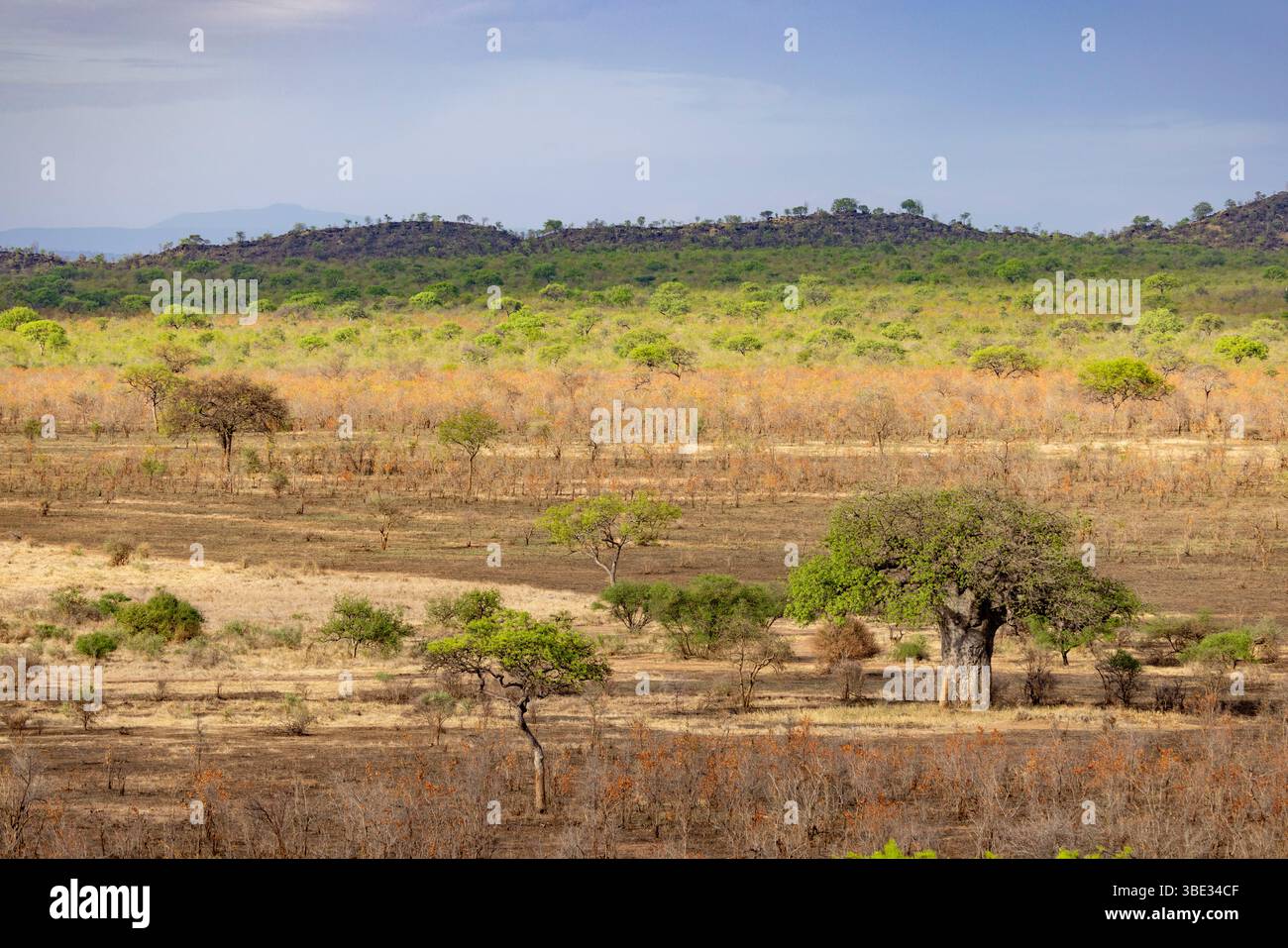 Tansania, Randilen, WMA (Wildlife Management Area), Landschaft am Ende der Trockenzeit Stockfoto