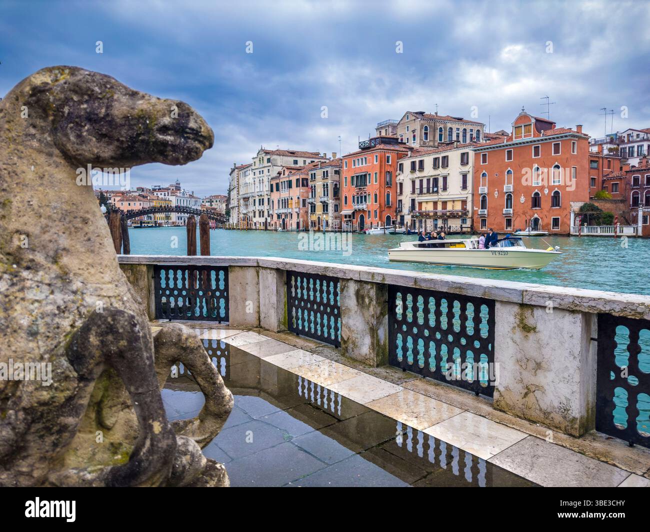 Italien, Venetien, Venedig, das von der UNESCO zum Weltkulturerbe erklärt wurde, Terrasse des Kunstmuseums Peggy Guggenheim Collection mit Blick auf den Canal Grande Stockfoto