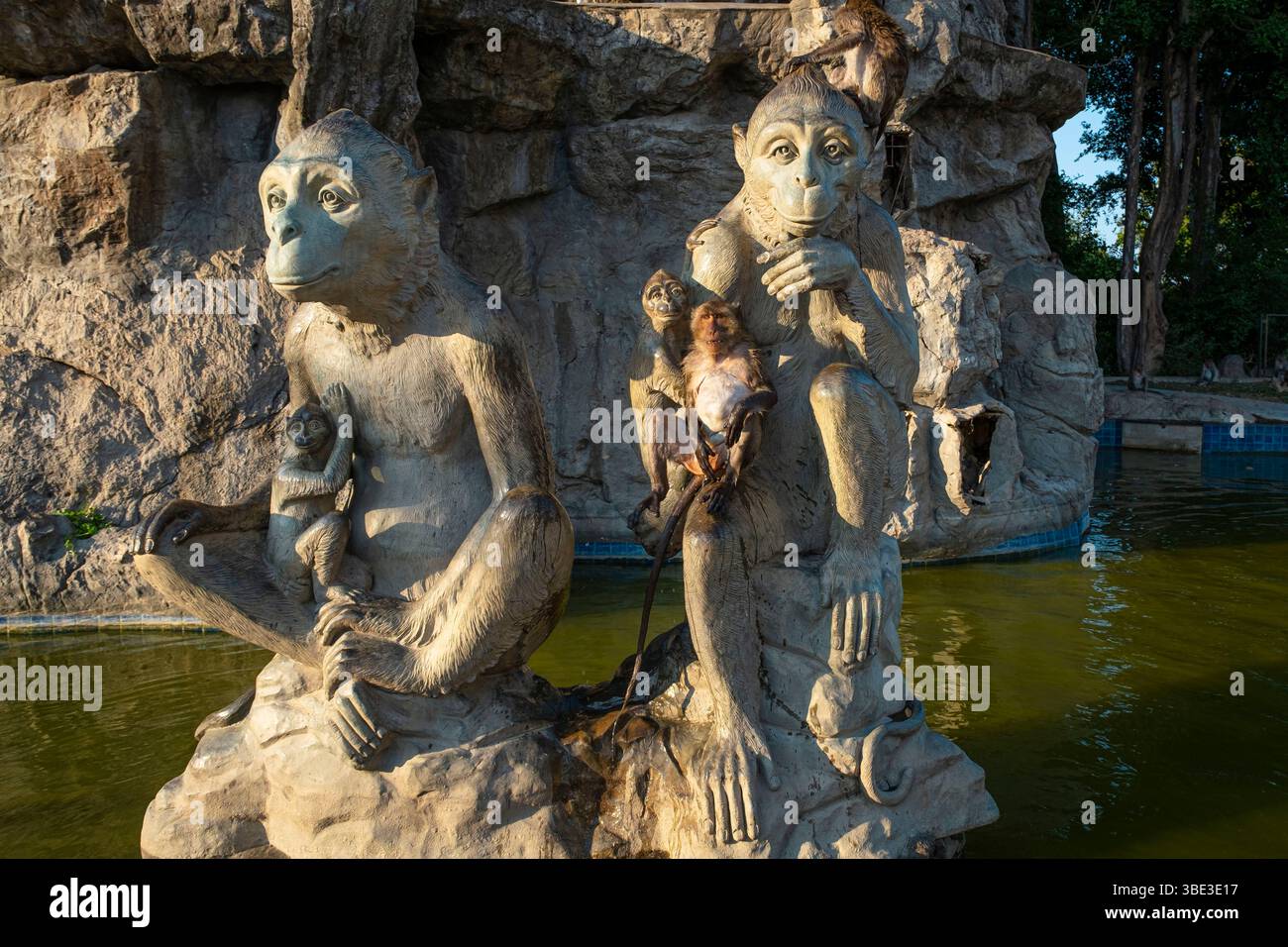Thailand, Prachuap Khiri Khan Seebad, Affenteich, Krabbenfressende Makaken oder Langschwanzmakaken (Macaca fascicularis) erobern den Chong Krajok Hügel Stockfoto