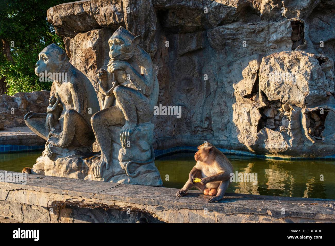 Thailand, Prachuap Khiri Khan Seebad, Affenteich, Krabbenfressende Makaken oder Langschwanzmakaken (Macaca fascicularis) erobern den Chong Krajok Hügel Stockfoto