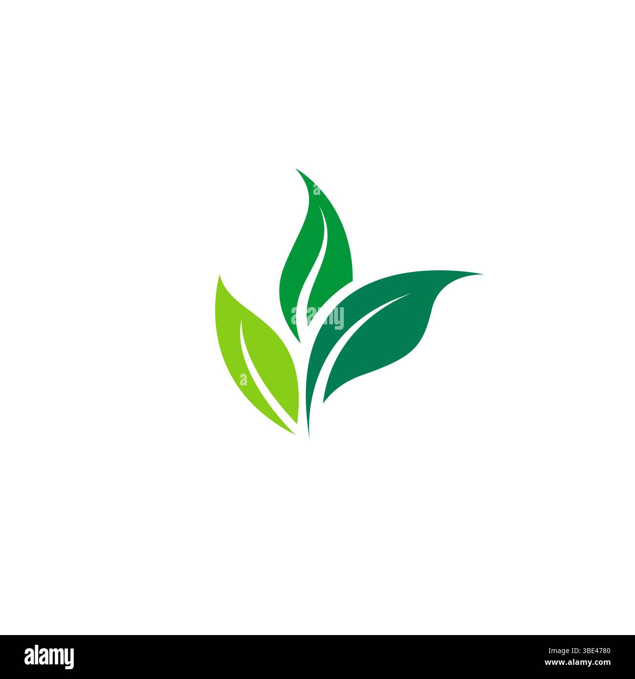 Design mit grünem Blattlogo. Symbol für Bio-Lebensmittel Stock Vektor