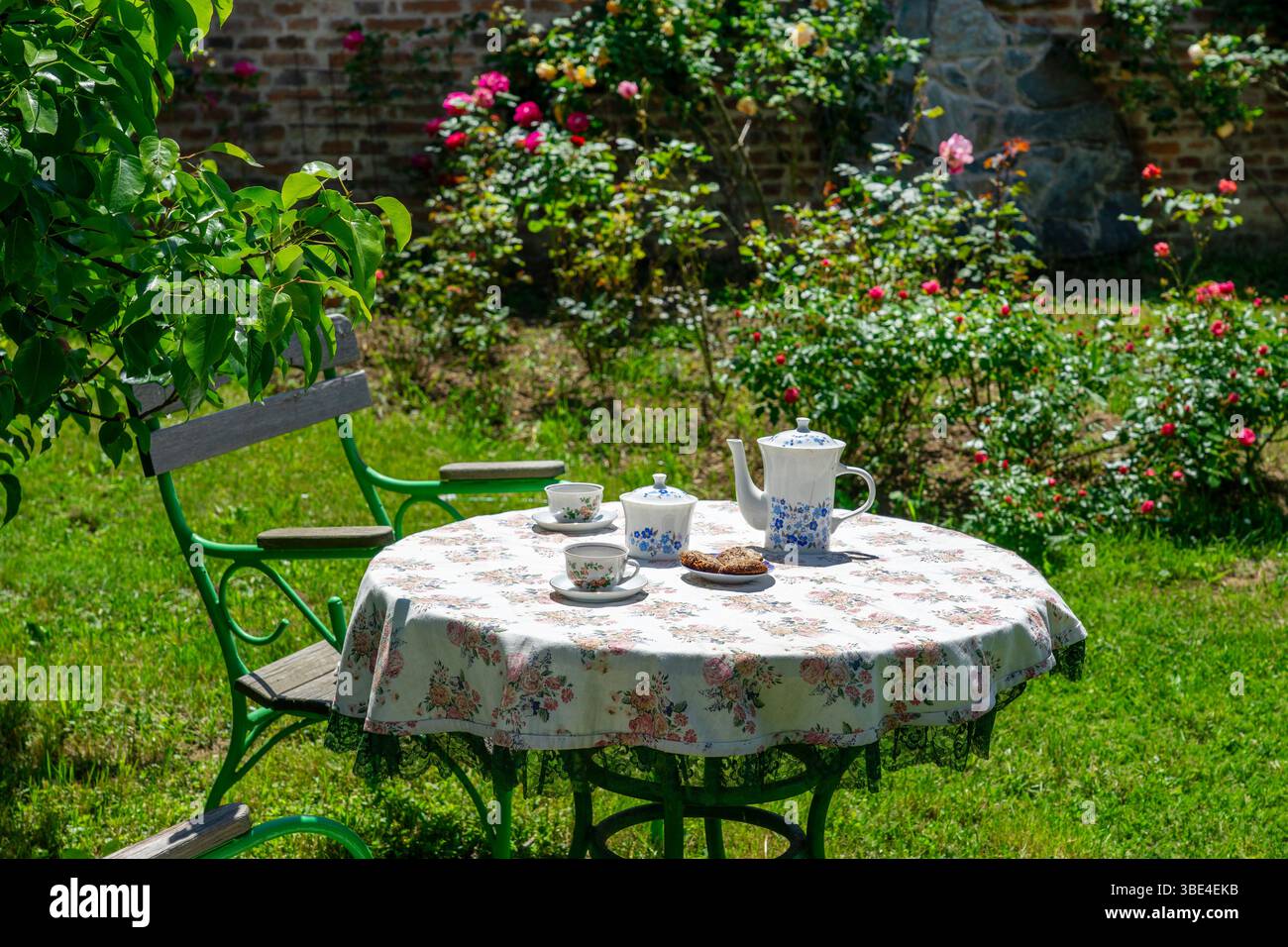 Ein ruhiges Bild eines charmanten Gartens mit einem Tisch für Tee inmitten blühender Rosen und Grün, der Ruhe und Freizeit weckt. Stockfoto
