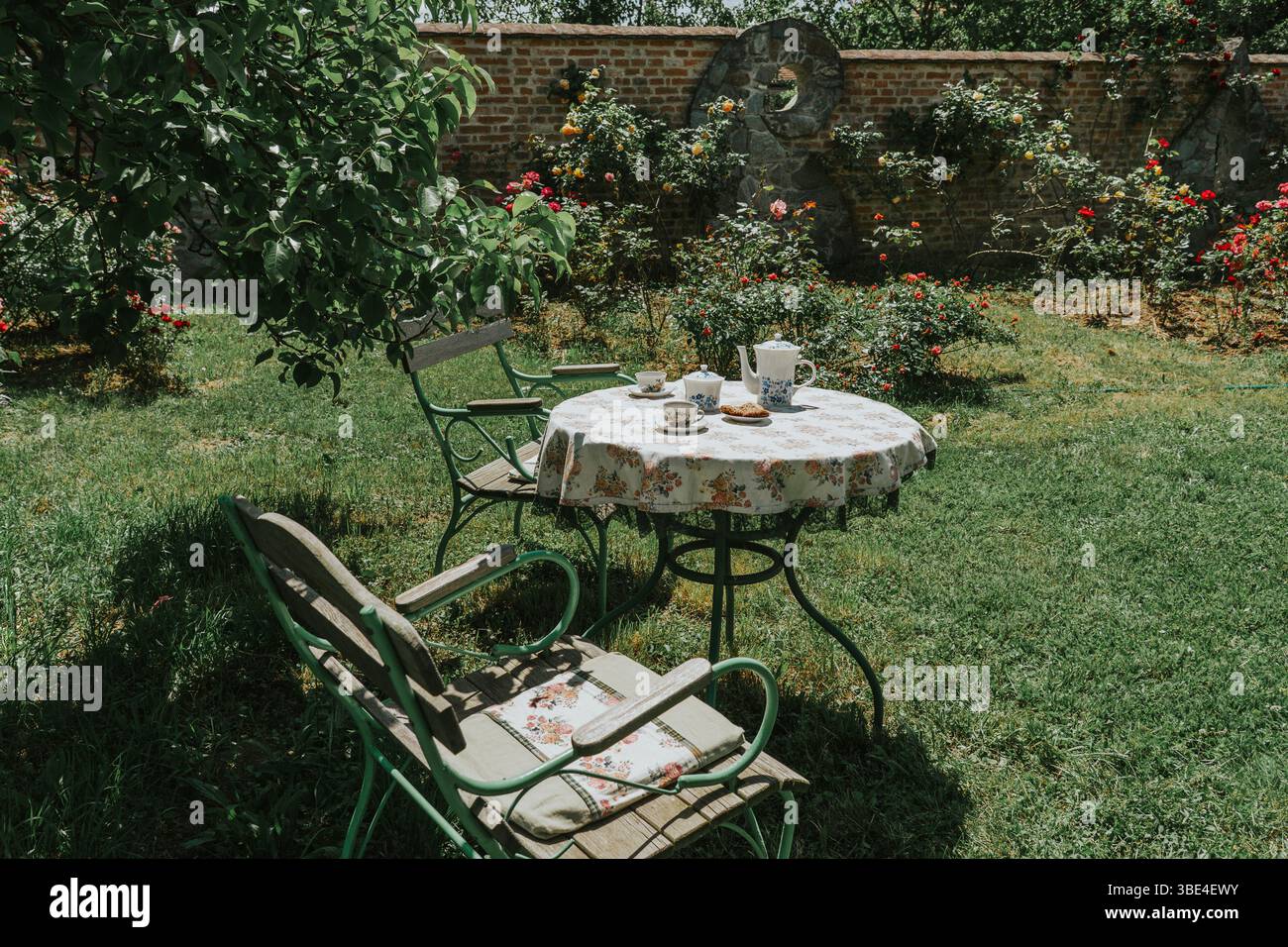 Ein ruhiges Bild eines charmanten Gartens mit einem Tisch für Tee inmitten blühender Rosen und Grün, der Ruhe und Freizeit weckt. Stockfoto
