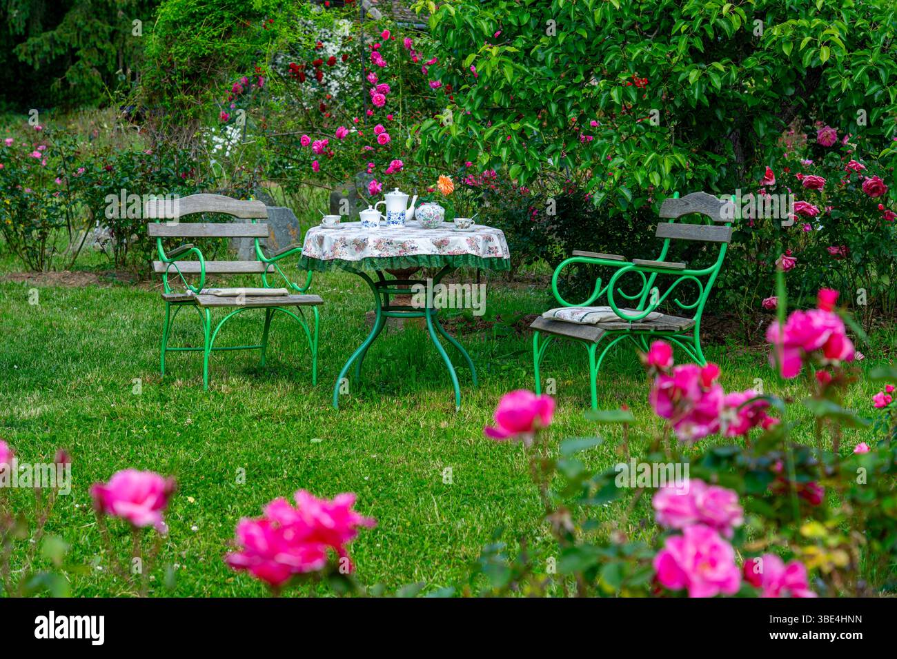 Ein ruhiges Bild eines charmanten Gartens mit einem Tisch für Tee inmitten blühender Rosen und Grün, der Ruhe und Freizeit weckt. Stockfoto