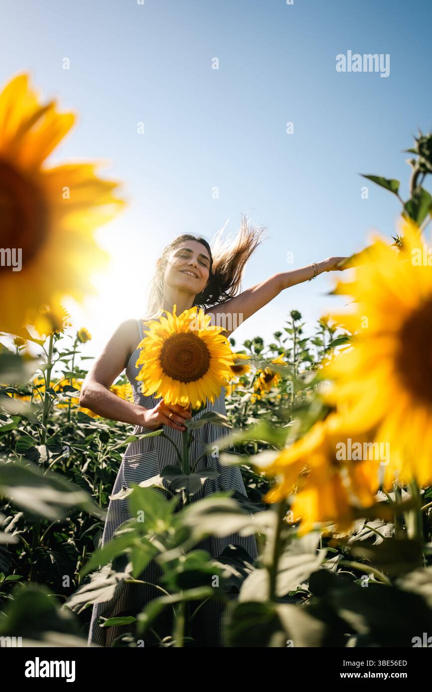 Eine junge Frau, die eine Sonnenblume auf dem Sonnenblumenfeld mit blauem Himmel hält. Hochwertige Fotos Stockfoto