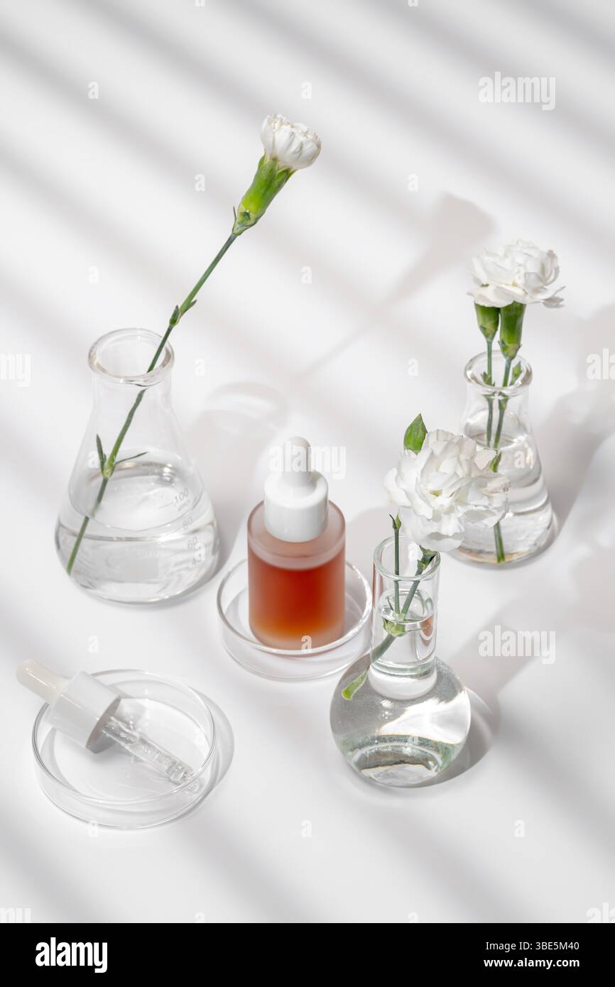 Von oben eine ruhige Einrichtung aus Hautpflegeprodukten und frischen Blumen in Laborgläsern, die unter sanften Lichtverhältnissen und Schatten erfasst werden. Ideal für Hochglanz Stockfoto
