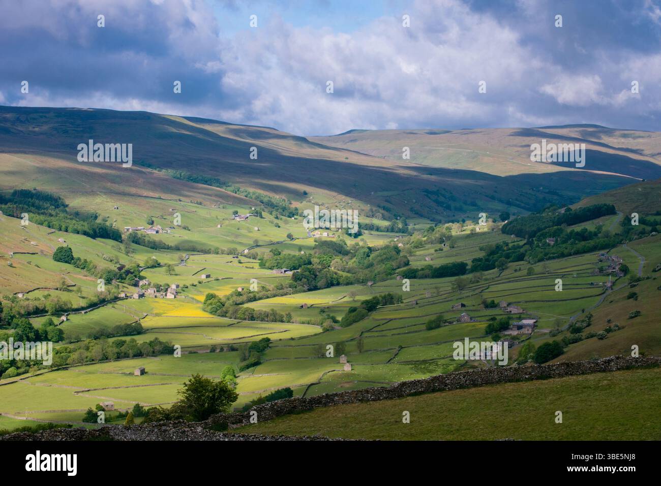 Dramatische Vies von Swaledale in den Yorkshire Dales im Frühling mit großem Himmel und traditionellen Steinmauern und Steinscheunen Stockfoto