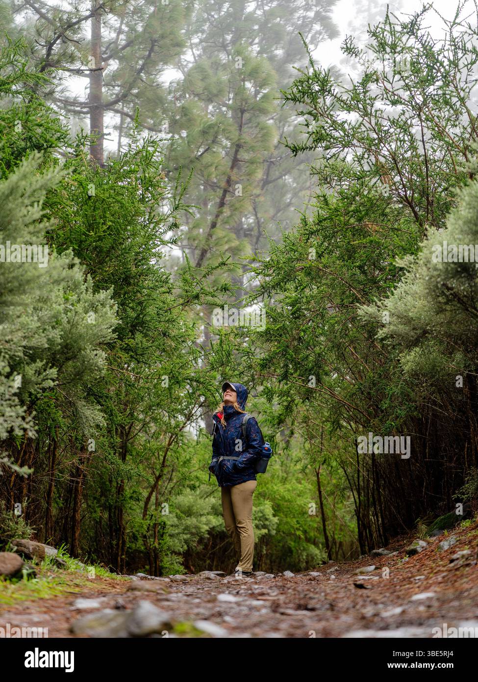 Eine Wanderer steht inmitten eines nebeligen Waldes und genießt die Natur auf einem ruhigen Wanderweg in der Nähe von Tejeda auf Gran Canaria, gekleidet mit Wanderausrüstung Stockfoto