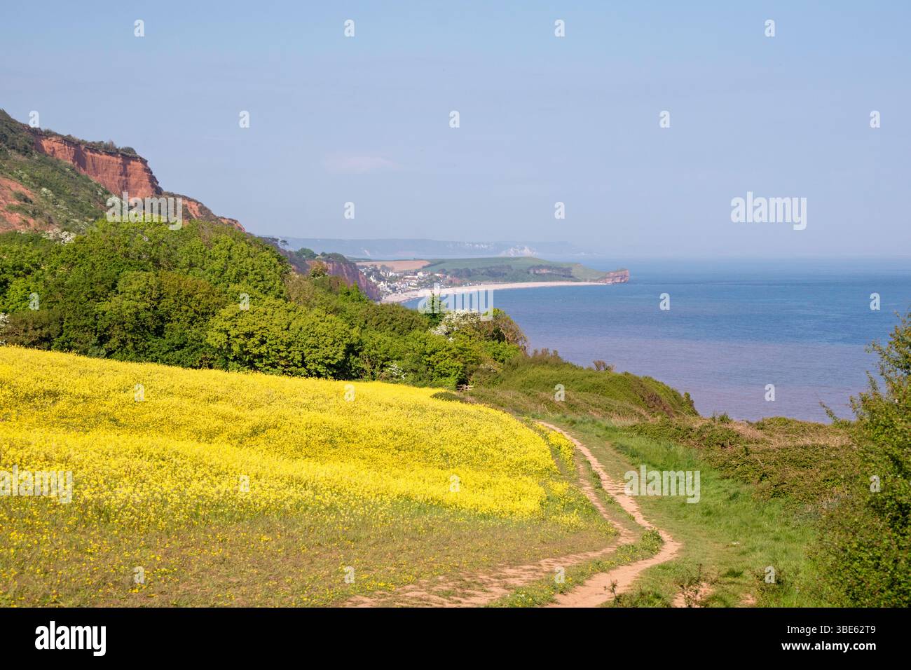 Der South West Coast Path mit Blick auf Budleigh Salterton, Devon, England, Großbritannien Stockfoto