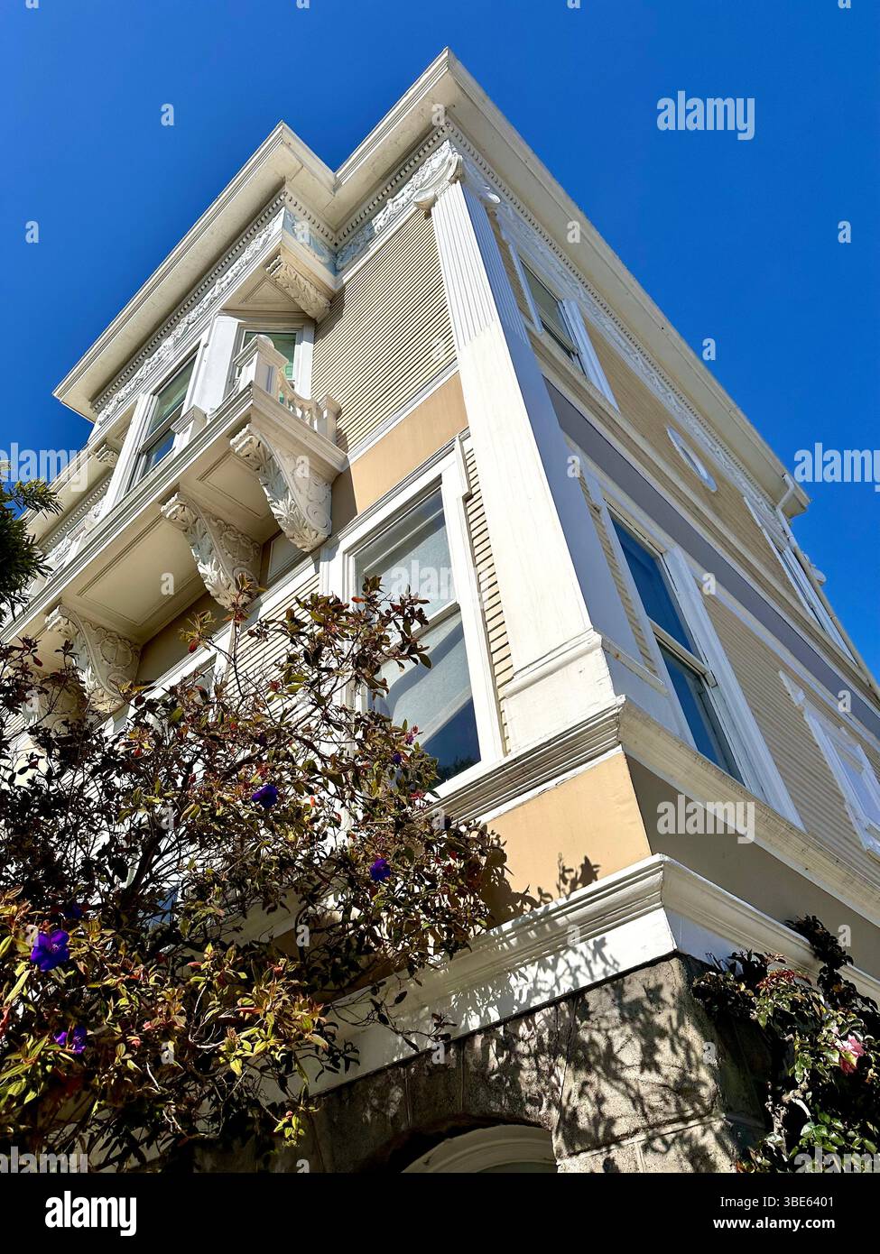 Häuser In San Francisco Kalifornien Viktorianisch Verzierte Doppeltür Mansion Iron Fence Garden Trees Bush Vines Dollhouse Holz - Smartphone-aufgenommenes Stockfoto