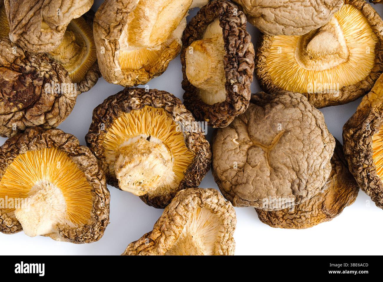 Die getrockneten Shiitake-Pilze sind ordentlich auf weißem Hintergrund angeordnet und weisen komplexe Texturen und tiefe organische Farben auf, die ein Gefühl für rustikales kulinarisches h wecken Stockfoto