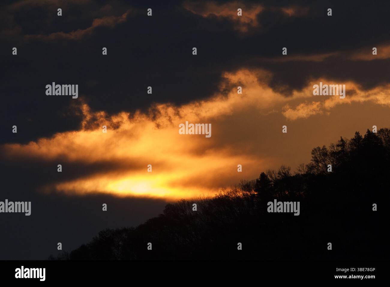 Ein bewölkter Sonnenaufgang über einem Wald in Silhouette. Kanagawa, Japan. Stockfoto