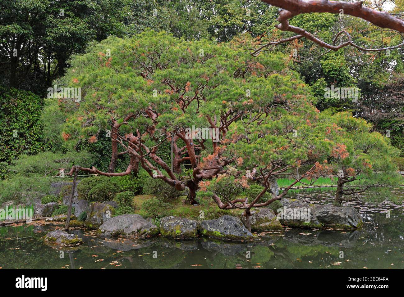 Heian-Schrein, Shinto-Schrein und Landschaftsgärten in Okazaki Nishitennocho, Sakyo Ward, Kyoto, Japan Stockfoto