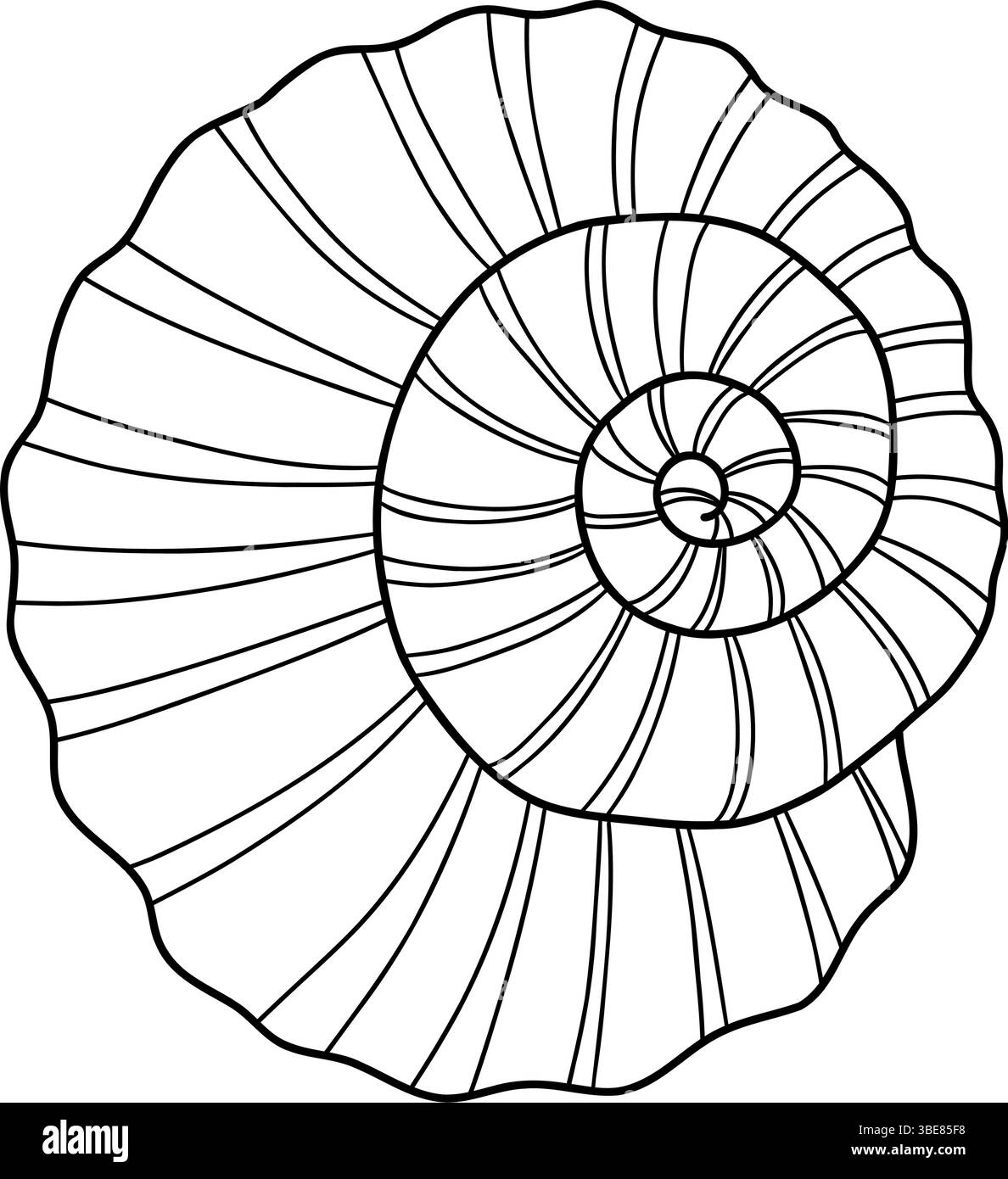 Gliederschale. Spiralförmige gedrehte Meeresmuschel. Lineare Handzeichnung Doodle. Vektorabbildung Stock Vektor