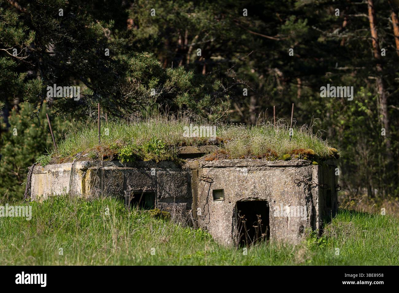 Militärisches Erbe aus dem Zweiten Weltkrieg Bunker in der Strandlandschaft Tahkuna. Ein alter Betonbunker aus dem Zweiten Weltkrieg. Stockfoto