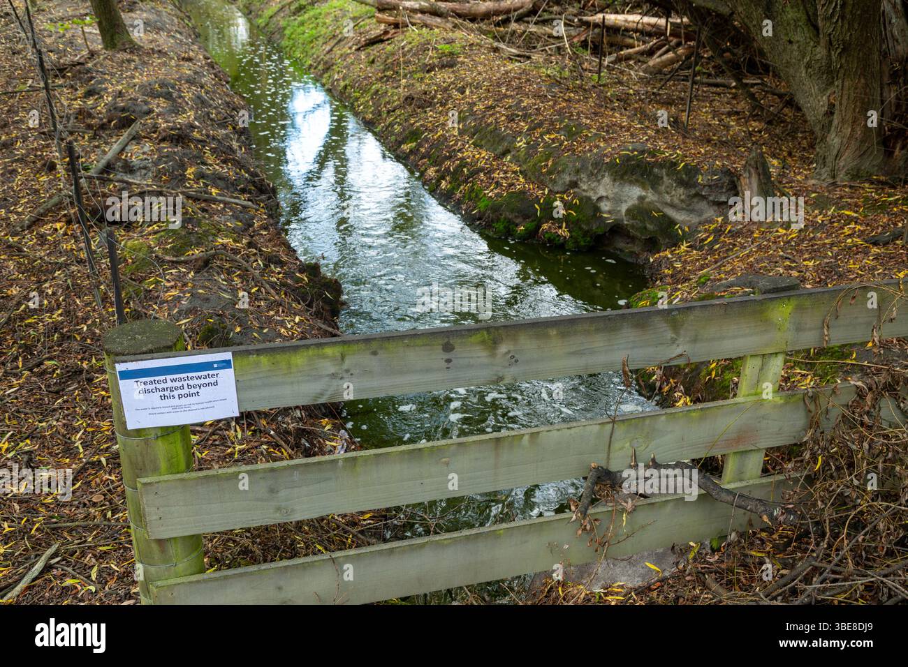 Das Abwasser aus der Kläranlage Queenstown wird direkt in den Shotover River in Queenstown, Otago, Neuseeland, eingeleitet Stockfoto