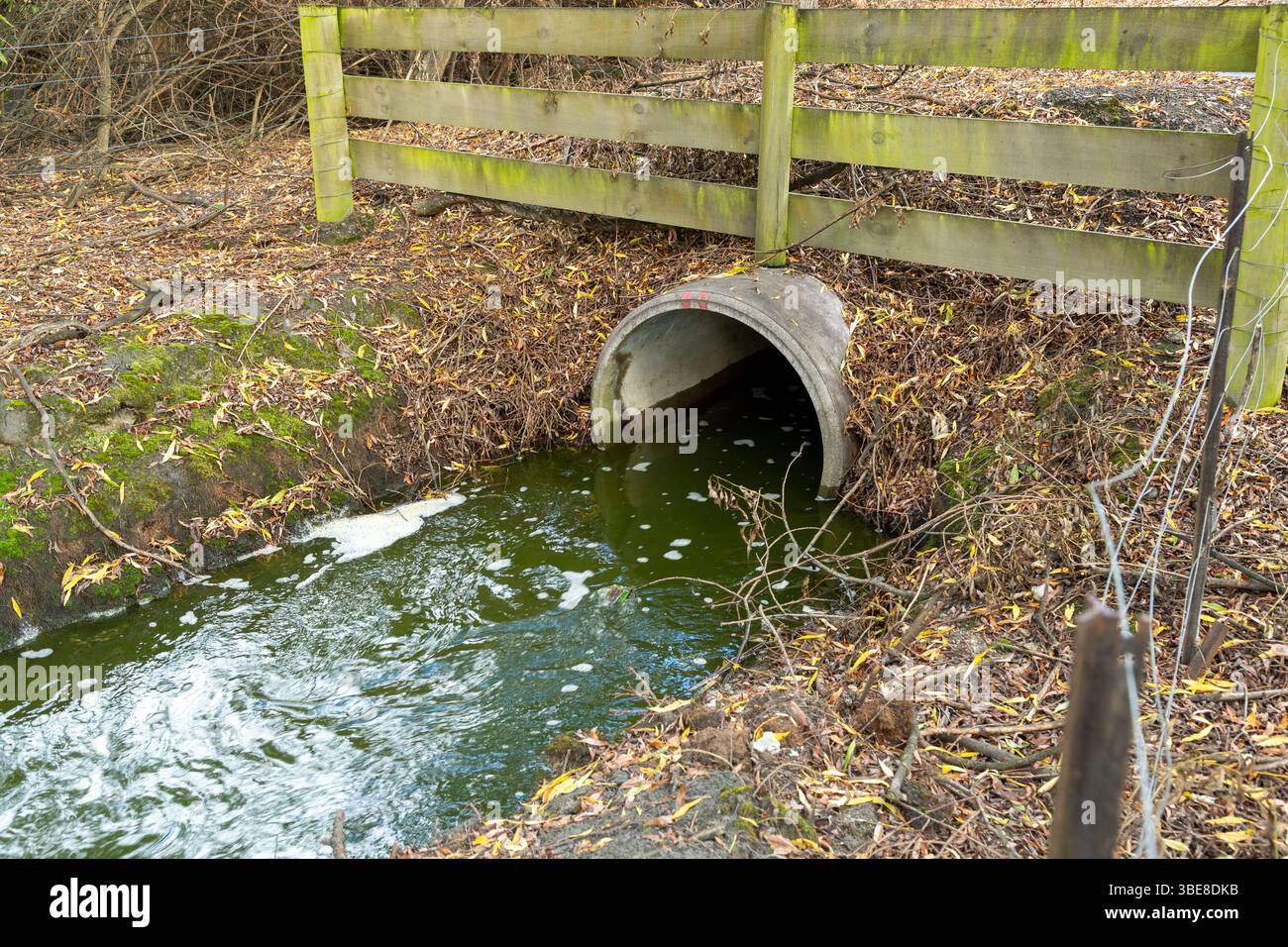 Das Abwasser aus der Kläranlage Queenstown wird direkt in den Shotover River in Queenstown, Otago, Neuseeland, eingeleitet Stockfoto