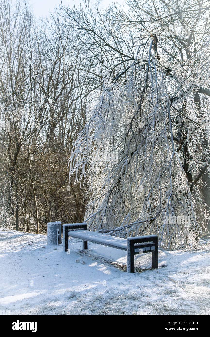 Gefrorene Bank im Winter Stadtpark, schneebedeckter Baum Stockfoto