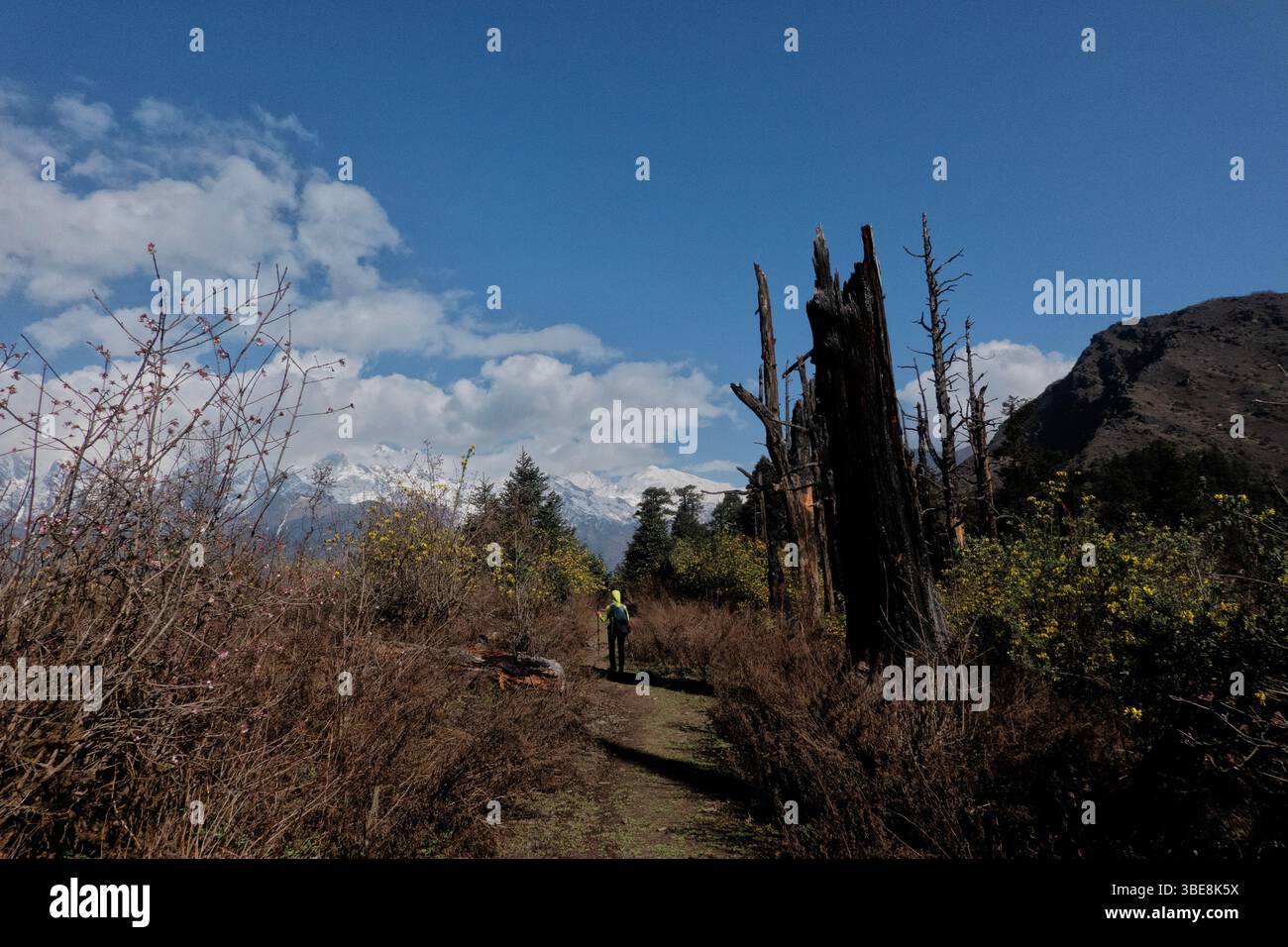 Blick auf die Gipfel in Tibet vom Tamang Heritage Trail, Nagthali, Nepal Stockfoto