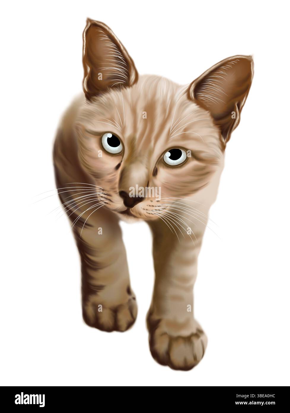 Digital malte den Ausdruck des Zweifels auf das Katzengesicht Stockfoto