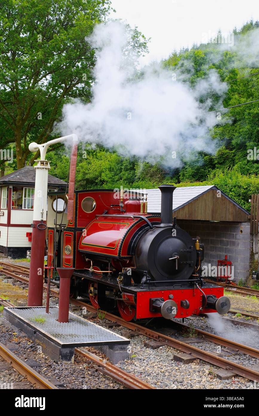 Falcon, Lokomotive, Nr. 10, Corris, Schmalspur, Dampflokomotive, Stockfoto
