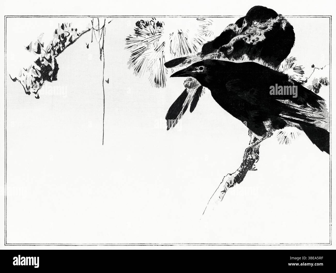 Japanese Crows on a Branch von Watanabe Seitei (1890–1891), Seitei Kacho Gafu, Kacho-GA Style Bird Illustration, Public Domain Ukiyo-e Print, High-Reso Stockfoto