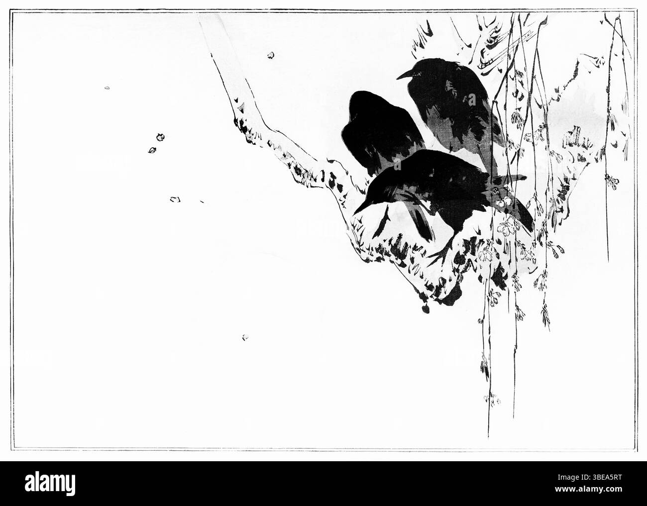 Elegante japanische Krähen auf einem Zweig von Watanabe Seitei, 1890, Vogelkunst aus der Edo-Zeit von Seitei Kacho Gafu - hochauflösende restaurierte Illustration Stockfoto