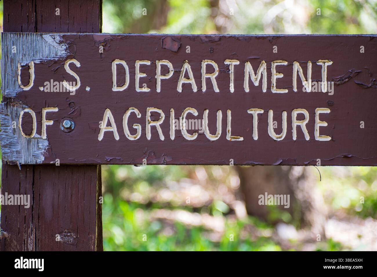 SANTAQUIN CANYON, UTAH, USA – 27. Mai 2025: Ein verwittertes Holzschild markiert das US-Landwirtschaftsministerium auf dem Tinney Flat Campground. Stockfoto