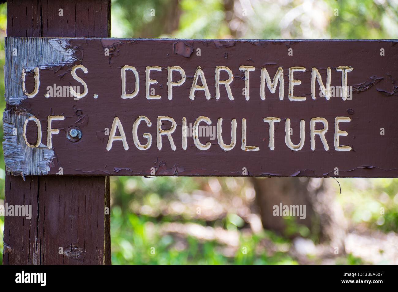 SANTAQUIN CANYON, UTAH, USA – 27. Mai 2025: Ein verwittertes Holzschild markiert das US-Landwirtschaftsministerium auf dem Tinney Flat Campground. Stockfoto
