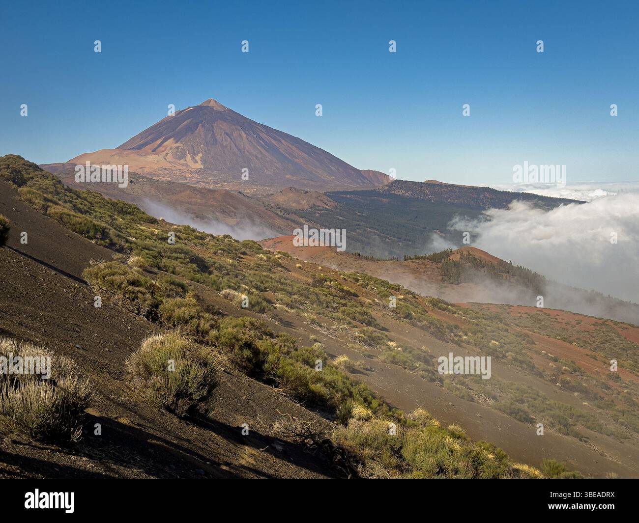 Foto vom Teide im Tiede-Nationalpark Stockfoto