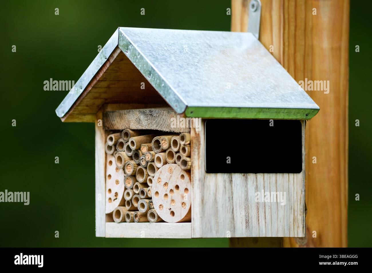 Ein Holzbienenhaus mit Blechdach und schwarzem Plakat an der Seite für eine Nachricht. Stockfoto
