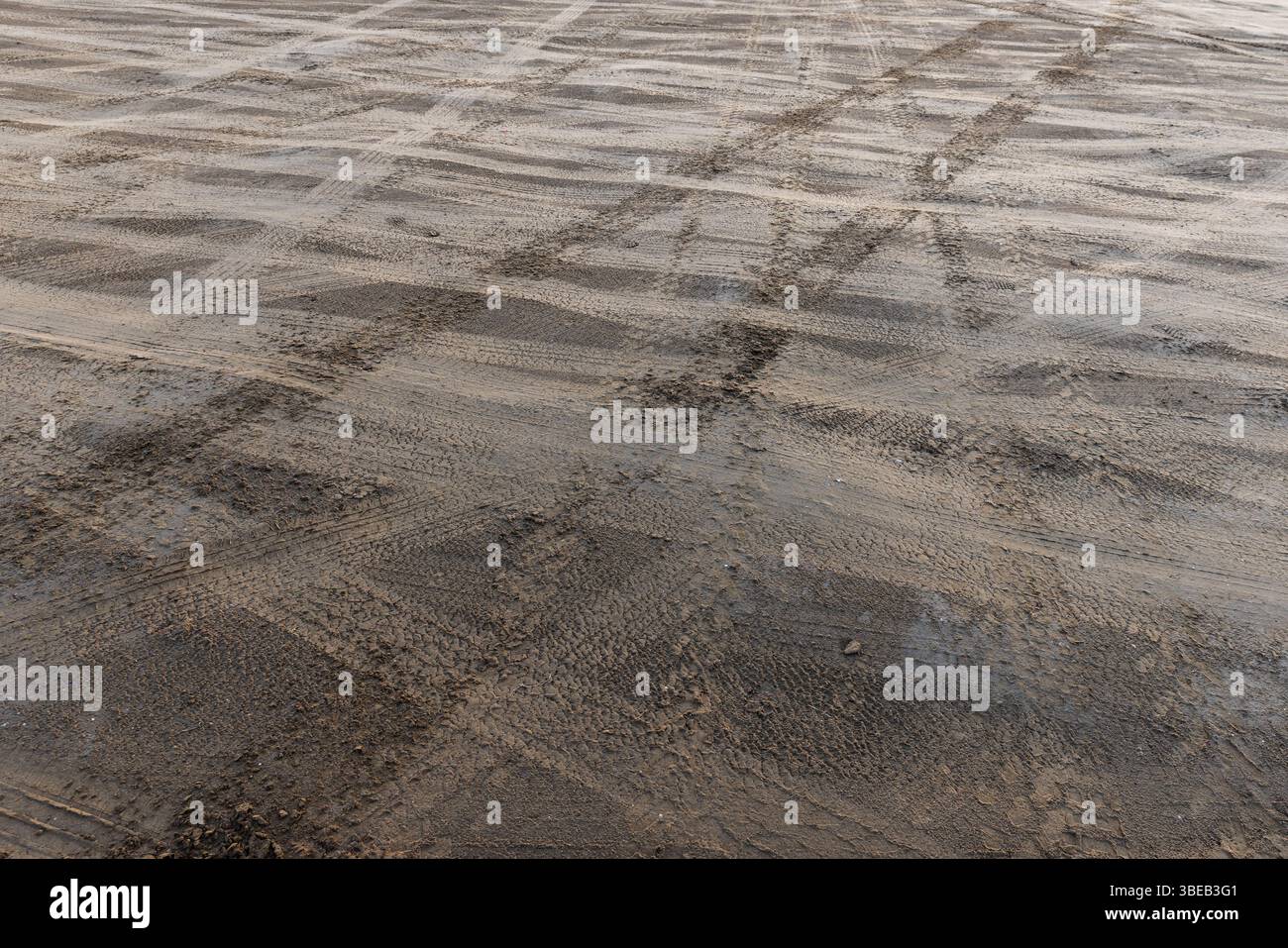 Unebener Strandboden mit sichtbaren Reifenspuren, die Muster auf loser Erde bilden. Eine Darstellung der rustikalen, natürlichen Umgebung und des Tex Stockfoto