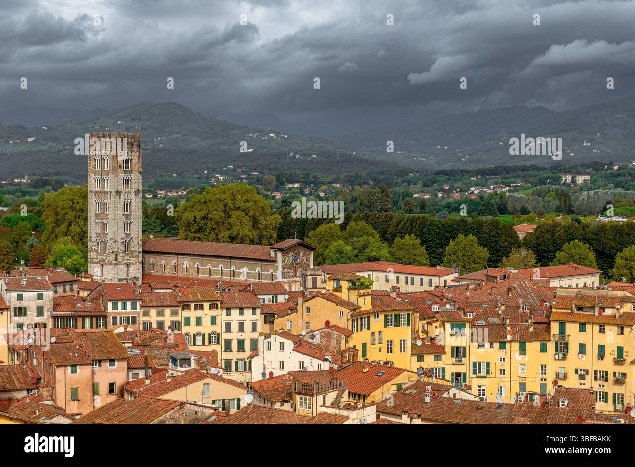 Dächer und Gebäude der Stadt Lucca, von der Spitze des Guinigi-Turms aus gesehen, Lucca, Toskana, Italien Stockfoto