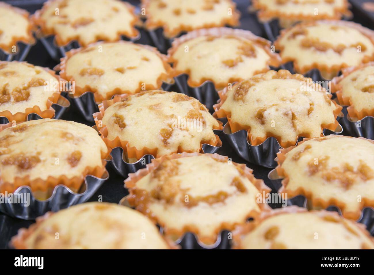 Frisch gebackene Muffins in Metalldosen Stockfoto