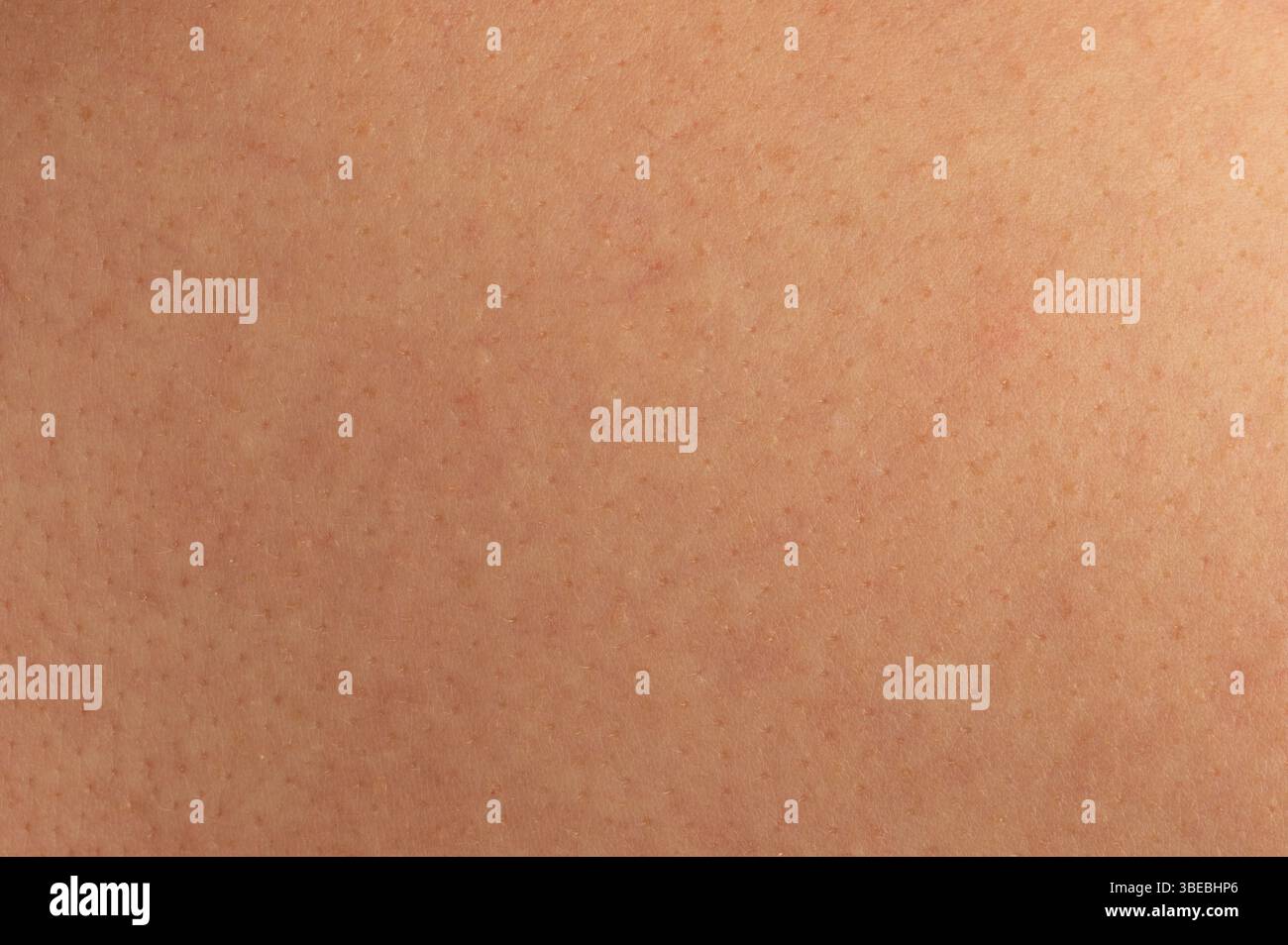 Nahaufnahme der Haut mit Textur, natürlichen Poren und glatter Oberfläche unter weicher Beleuchtung, die die Hautgesundheit unterstreicht. Stockfoto