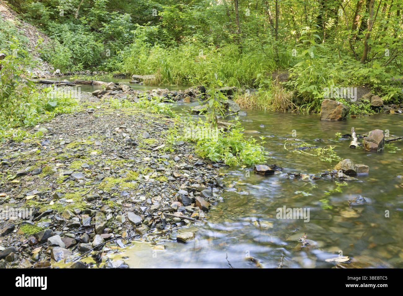 Felsige Küste in einem kleinen Wald stream Stockfoto