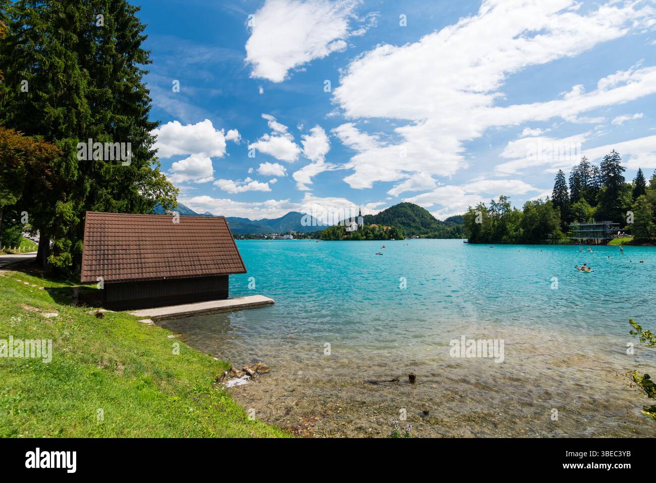 Bled Lake, Slowenien. Reinblaues Wasser und schwimmende Menschen im See, in der Nähe der Kirche auf der Insel in der Mitte des Sees. Stockfoto