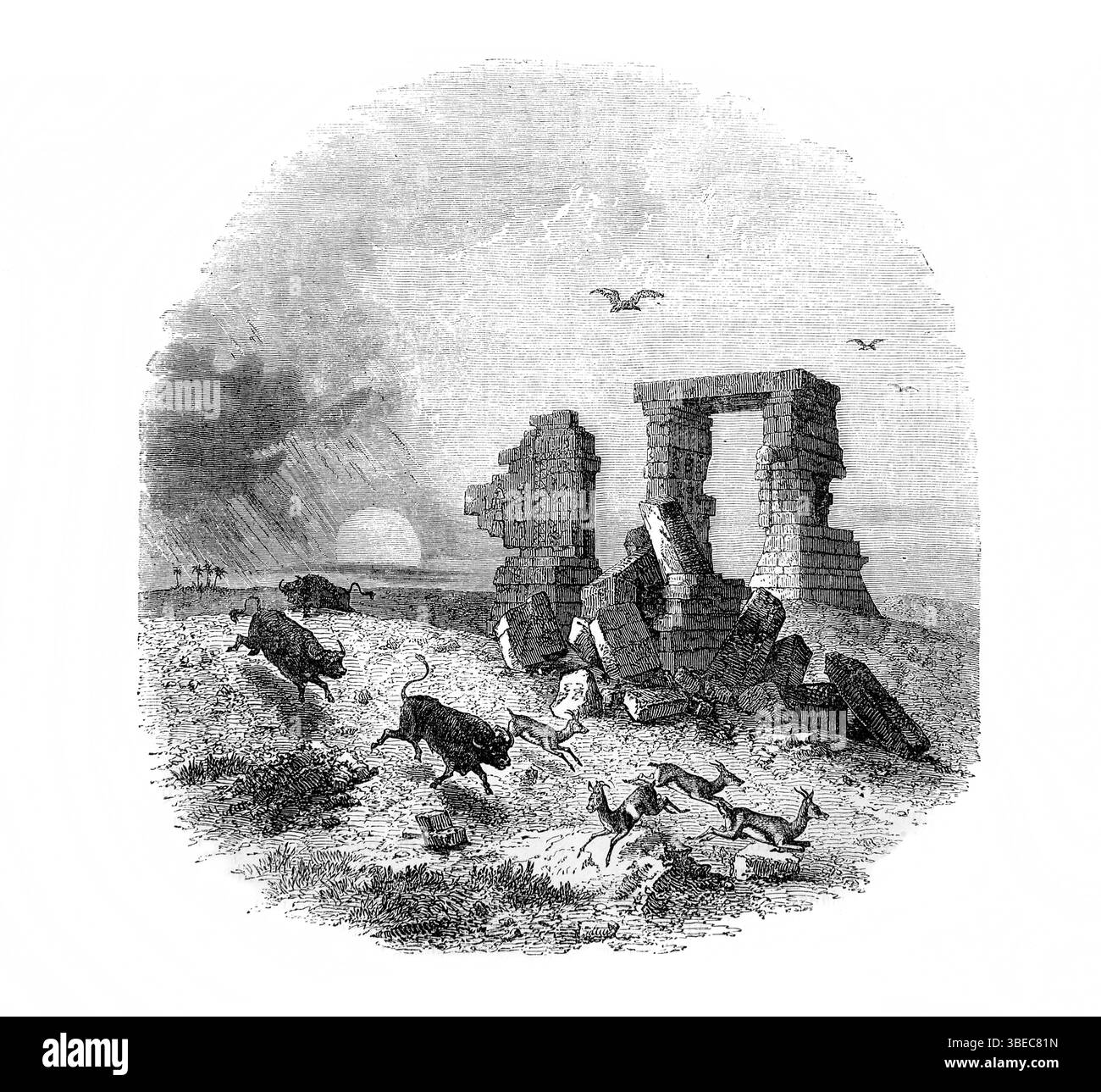 Illustration der Zustand eines Tempels der Götzenanbeter im 19. Jahrhundert in Ägypten aus dem Antiken 19. Jahrhundert die Heilige Bibel enthält die Alte und Stockfoto