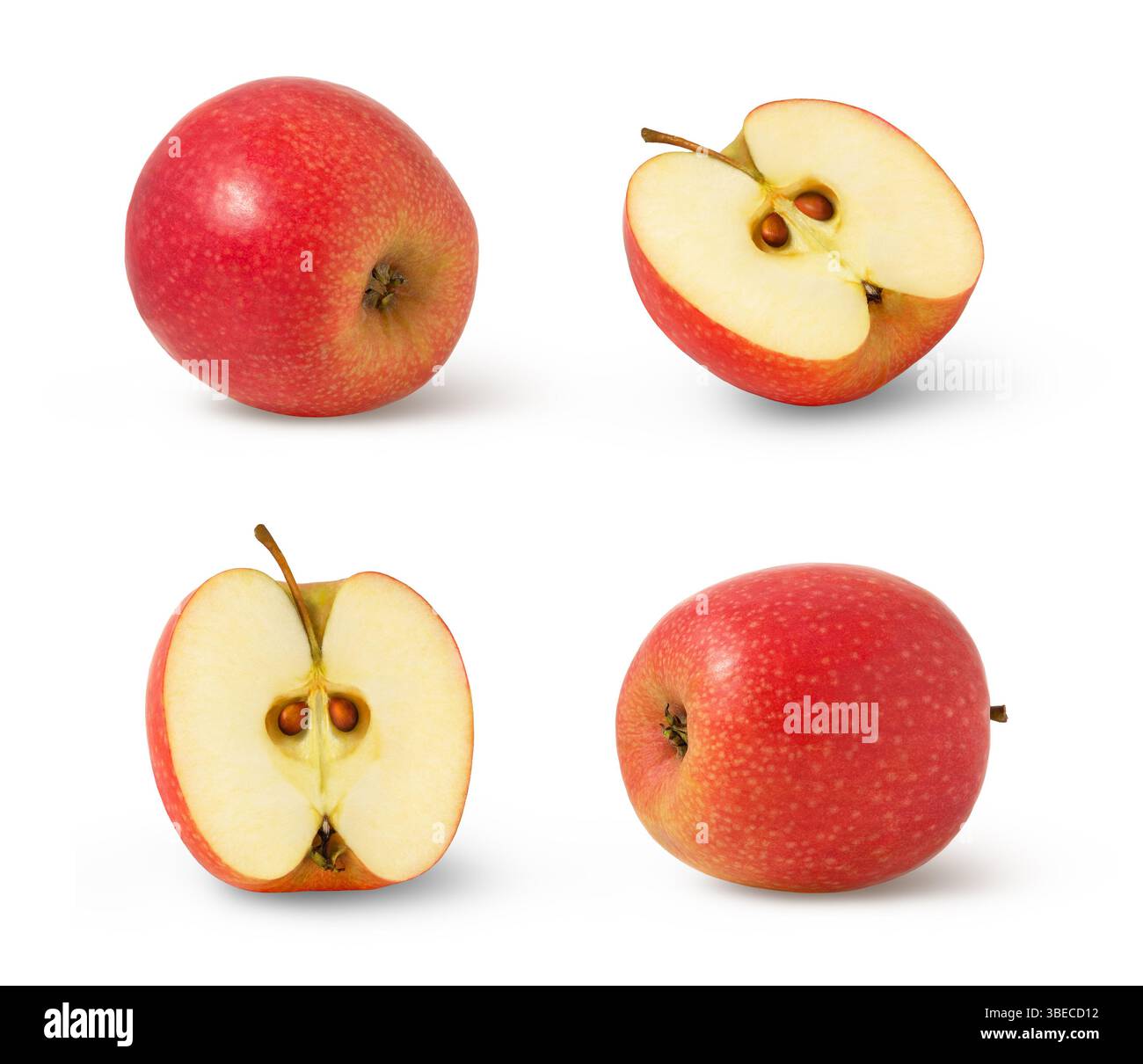 Set von roten Äpfeln und einer Hälfte isoliert. Rosafarbener Apfel und eine Hälfte isoliert. Stockfoto